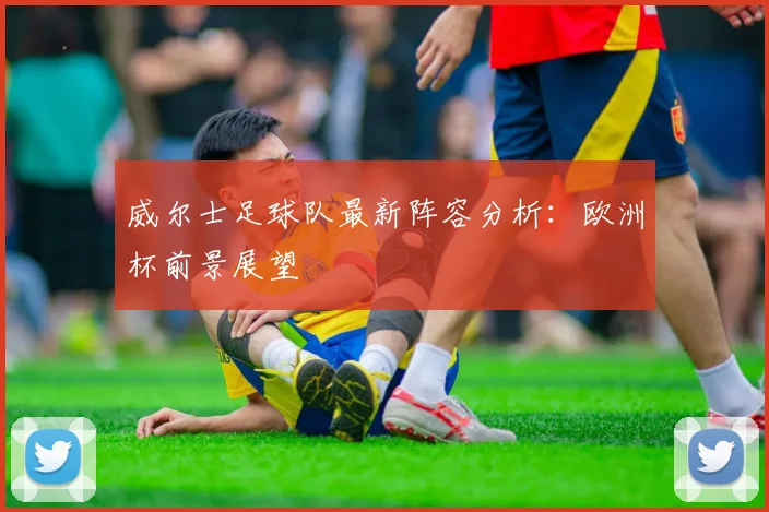 威尔士足球队最新阵容分析:欧洲杯前景展望