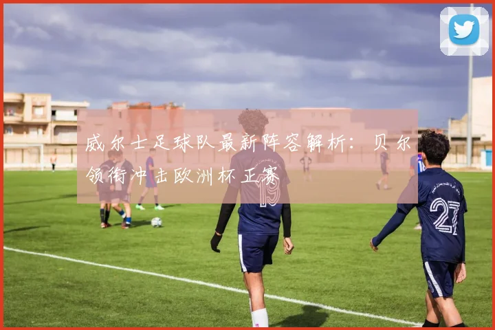 威尔士足球队最新阵容解析:贝尔领衔冲击欧洲杯正赛