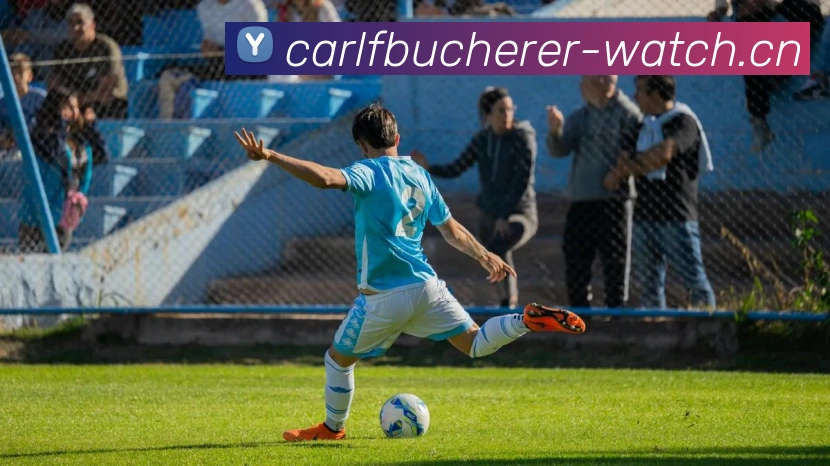 冠竞体育电子竞技官网平台生态图